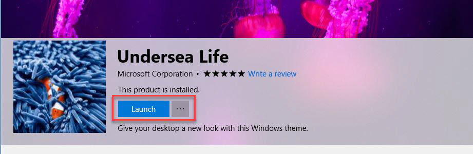 microsoft-windows-10-store-launch